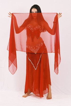 buikdanseres aaliyah rood