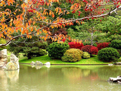 japaneese garden