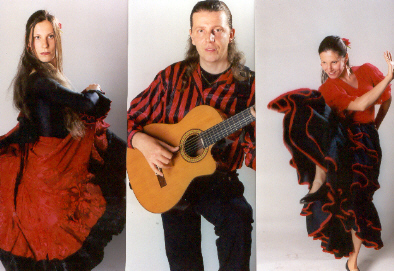 spaanse dans flamenco feest